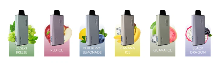 12000 Puffs Disposable Vape Kit 18ml