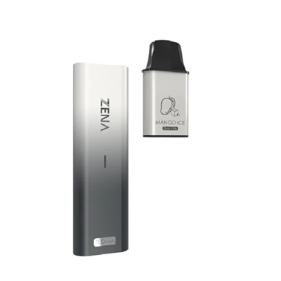 Dual Mesh Coil 2% Nicotine Disposable Pod Vape Kit 600 Puffs