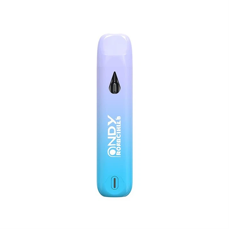 Custom Logo Accepted 1ml/2ml Empty Disposable THC Vape Pen Factory Supply