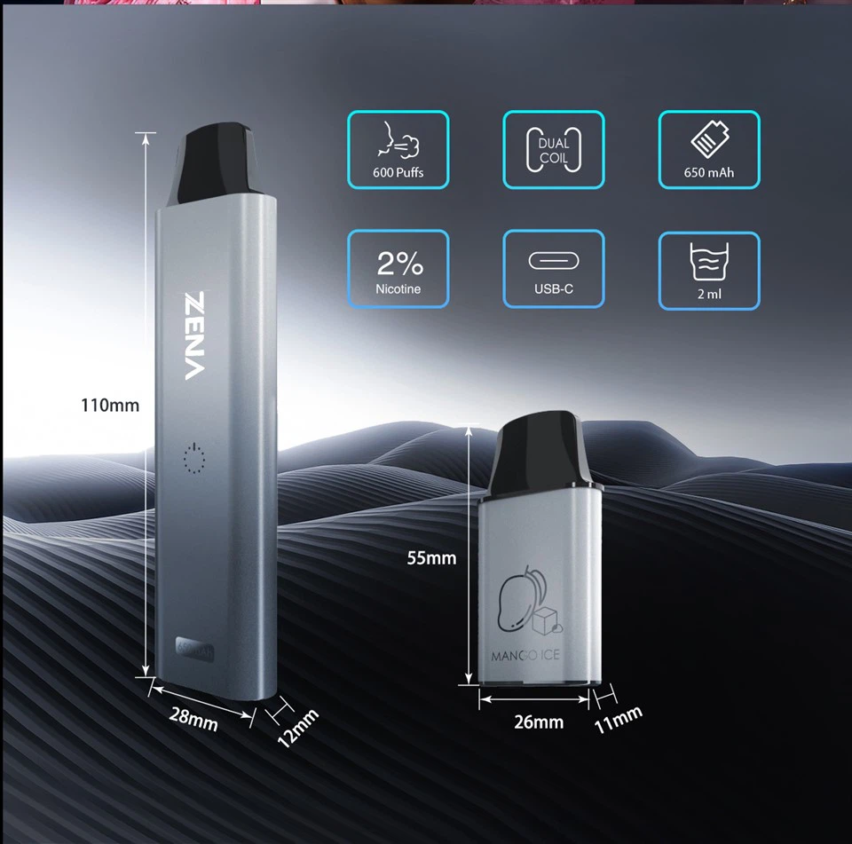 2024 New Producds Disposable 600puffs in Fashion Style